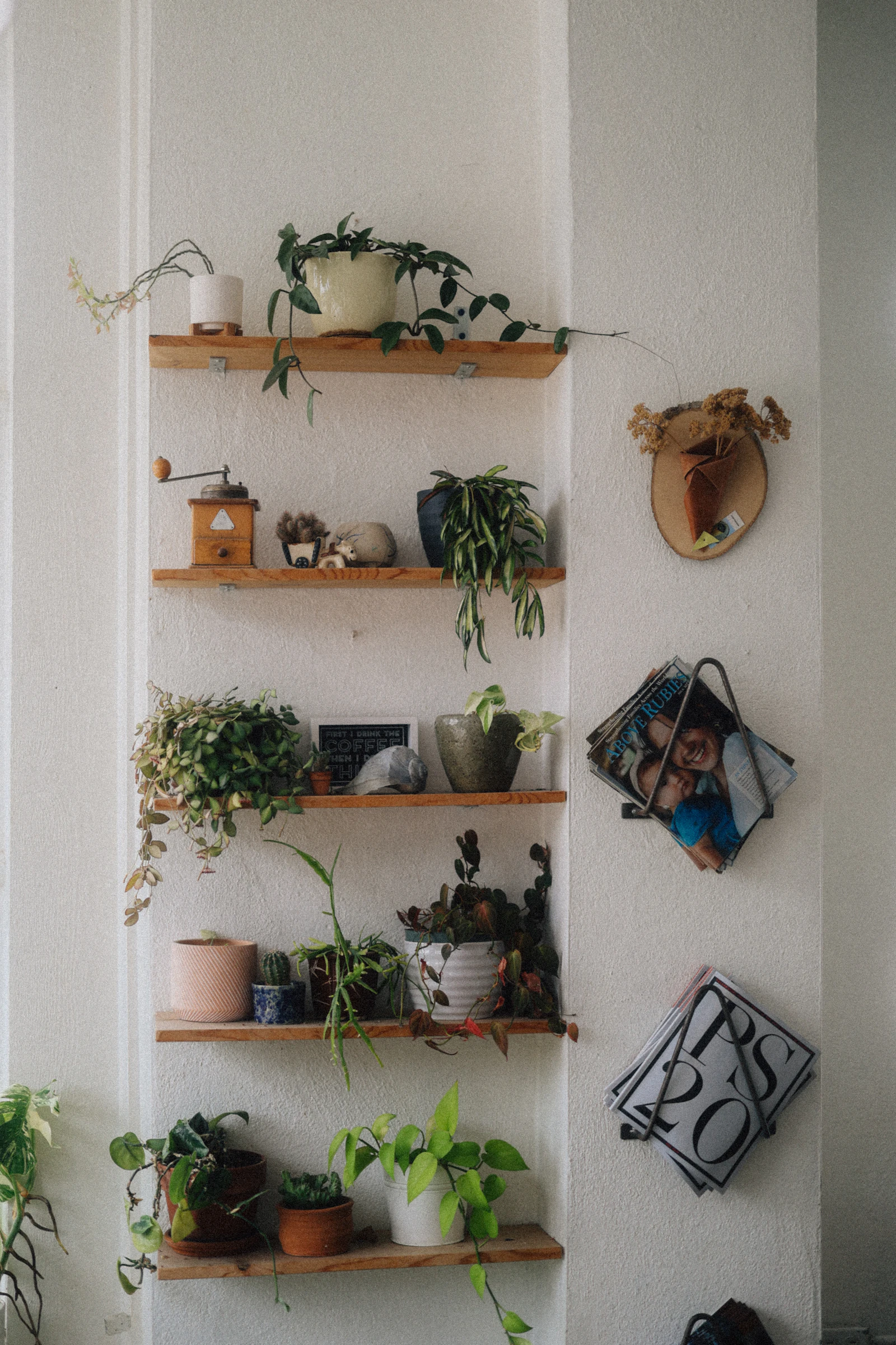 Styled floating shelves with trailing plants and decor pieces against a white wall
